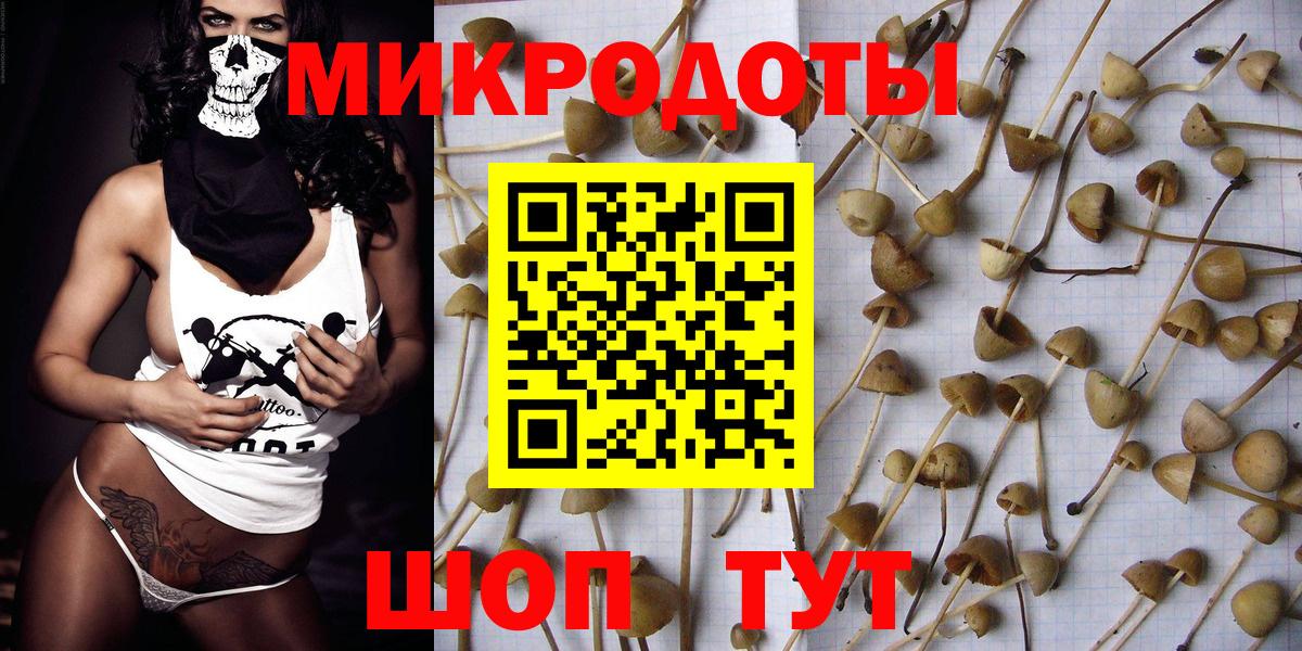 что такое наркотик  Вход с VPN  Тимашёвск  Псилоцибиновые грибы Magic Shrooms 